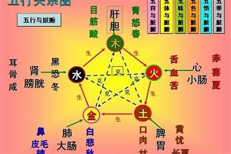 属土的人|五行属土的人性格特点